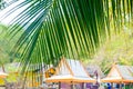 Blurry landscape shot through a large green palm leaf, selective focus in the foreground Royalty Free Stock Photo