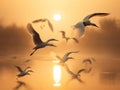 Blurry Little Egret Silhouettes at Sunrise Royalty Free Stock Photo