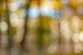 Blurry nature wallpaper. Royalty Free Stock Photo