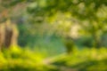 Blurry nature wallpaper. Royalty Free Stock Photo
