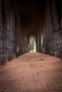 Blurry path through a dark forest tunnel creating abstract motion effect and leading to light Royalty Free Stock Photo