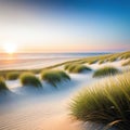 a blurry photo of a beach with grass blowing in the wind and the ocean in the background with a blurry sky in the Royalty Free Stock Photo