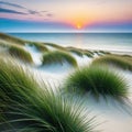 a blurry photo of a beach with grass blowing in the wind and the ocean in the background with a blurry sky in the Royalty Free Stock Photo