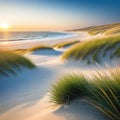 a blurry photo of a beach with grass blowing in the wind and the ocean in the background with a blurry sky in the Royalty Free Stock Photo