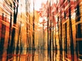 a blurry photo of trees in the woods Royalty Free Stock Photo