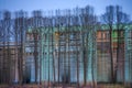 Blurry reflection Block of flats with trees in the water Royalty Free Stock Photo