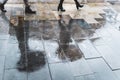 Blurry reflection legs and shadows, silhouettes of the people in the wet sidewalk, in a puddle of people walking on a