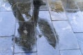 Blurry reflection shadow silhouette of a man walking under umbrella in a pedestrian city wet street in a puddle, autumn Royalty Free Stock Photo