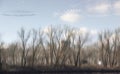 Blurry river water reflection of the bare trees Royalty Free Stock Photo