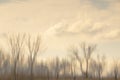 Blurry river water reflection of the bare trees in winter sunset Royalty Free Stock Photo