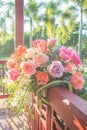 Blurry rose and warm light in garden background , beautiful moments of love and happy life