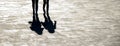 Blurry shadow silhouettes of two young women walking Royalty Free Stock Photo