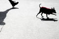 Blurry silhouette shadow of a small dog and its owner