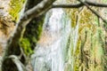 Blurry Tree Trunk Covered in Green Moss in front of the Great Waterfall in Plitvice Lakes National Park in Croatia Royalty Free Stock Photo