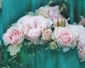 Blurry Unfocused Beautiful softness pink rose flowers and buds on turquoise background. Freshness spring or summer floral backdrop Royalty Free Stock Photo