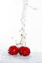 Blurry water being poured on cherries
