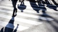 Blurry zebra crossing with pedestrians making long shadows Royalty Free Stock Photo