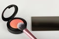 Blush and makeup brush