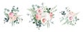 Blush pink garden roses, ranunculus, hydrangea flowers vector design bouquets Royalty Free Stock Photo