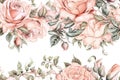 Blush Pink Roses Corner Border Illustration on White Background for Wedding Invitations. Royalty Free Stock Photo