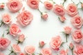 Blush pink roses frame on white background. Various creamy pink roses flowers and buds layout on white background with