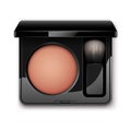Blusher in Black Plastic Case with Makeup Brush Royalty Free Stock Photo