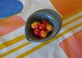 Blushing rose and yellow cherries in blue retro bowl Royalty Free Stock Photo