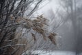 blustery winter day with snowflakes and gusts of wind