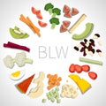 BLW baby led weaning products in circle on white background