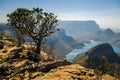 Blyde river canyon; Mpumalanga near Graskop. South Africa