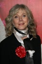 Blythe Danner Royalty Free Stock Photo
