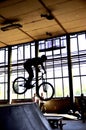 BMX bike riders Royalty Free Stock Photo