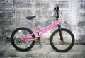 Bmx flatland bike pink color