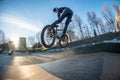 BMX jump in a wooden ramp Royalty Free Stock Photo