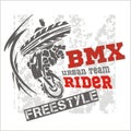 BMX rider - urban team. Vector design. Royalty Free Stock Photo