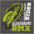 BMX rider - urban team. Vector design.