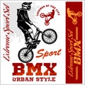 BMX t-shirt Graphics. Extreme bike street style - Vector BMX cyclyst
