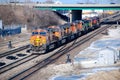 A BNSF diesel locomotive pulls multiple BNSF motive power in various historical color schemes showing years of mergers