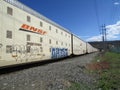 BNSF railroad cars with graffiti. Royalty Free Stock Photo