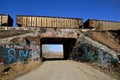 BNSF railroad freight cars assigning over a bridge full of graffiti