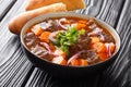 Bo Kho beef ragout in spicy sauce with carrots served with Vietnamese bread close-up in a bowl. horizontal Royalty Free Stock Photo