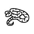 boa constrictor animal snake line icon vector illustration