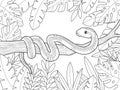 Boa constrictor on a branch. Tree leaves background. Children coloring book.