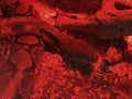 Boa constrictor in red glass serpentarium Royalty Free Stock Photo