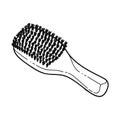 BOAR BRISTLE Hair Brush Vector Illustration Hand Drawn Royalty Free Stock Photo