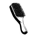 BOAR BRISTLE Hair Brush Vector Illustration Hand Drawn Royalty Free Stock Photo