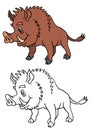Boar Royalty Free Stock Photo