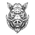 Boar head in black and white color style Royalty Free Stock Photo
