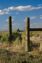 Boar's Tusk through Old Fence