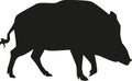 Boar silhouette animal